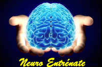 /album/fotogaleria-creditos/obten-una-mente-triunfadora-png-png10/